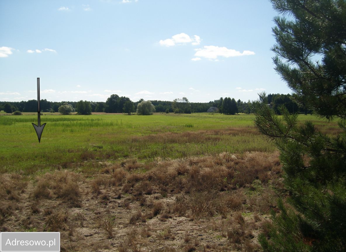 Działka Grotów. Zdjęcie 4