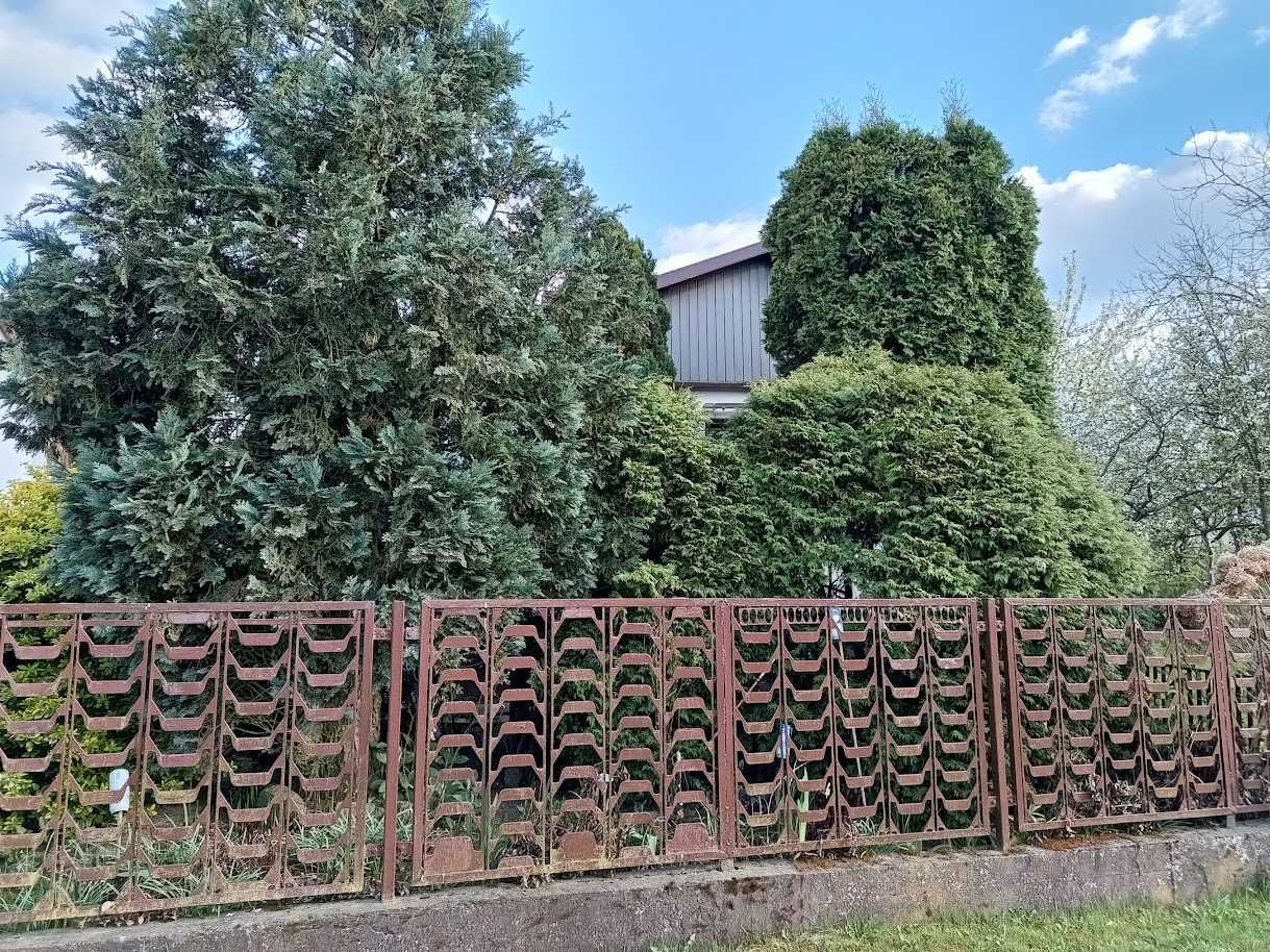 Działka rod Kielce, ul. Jeleniowska. Zdjęcie 5