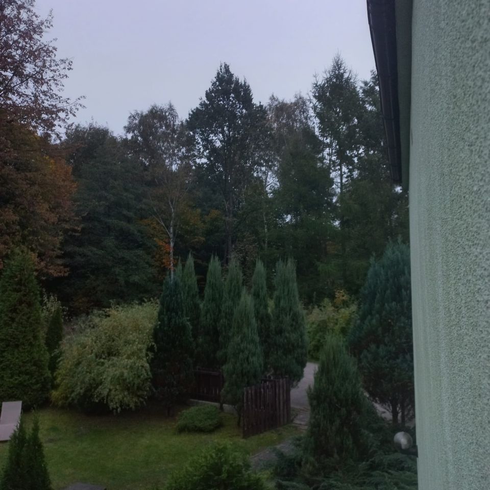 inny, 6 pokoi Przyszowice, Leśna. Zdjęcie 9