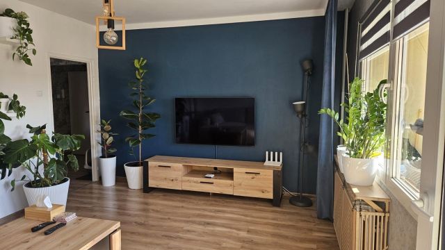 Mieszkanie 3-pokojowe Katowice Bogucice, ul. Wincentego Wajdy. Zdjęcie 2