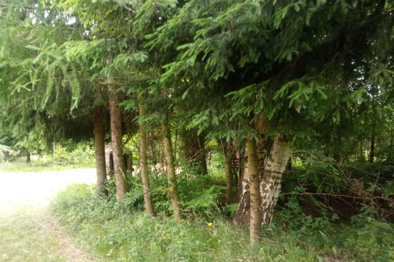 Działka budowlana Borki. Zdjęcie 7
