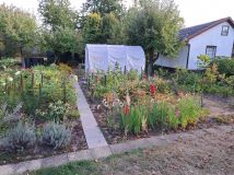 Działka rod Mielec. Zdjęcie 4