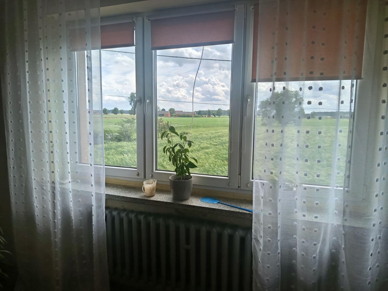 dom wolnostojący, 5 pokoi Walerianów. Zdjęcie 13