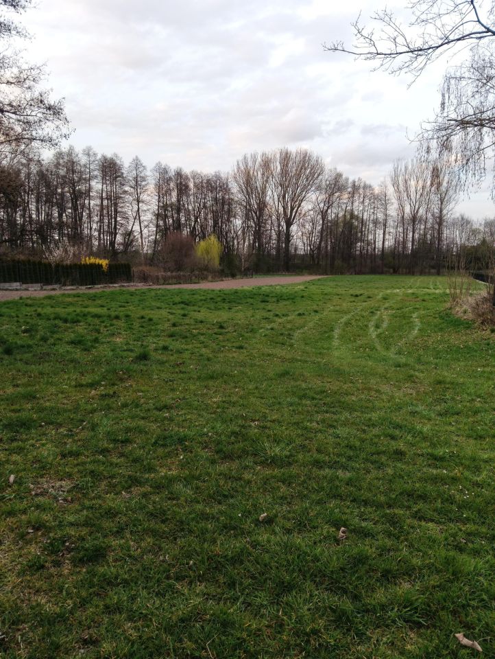 Działka rolna Byczki. Zdjęcie 1
