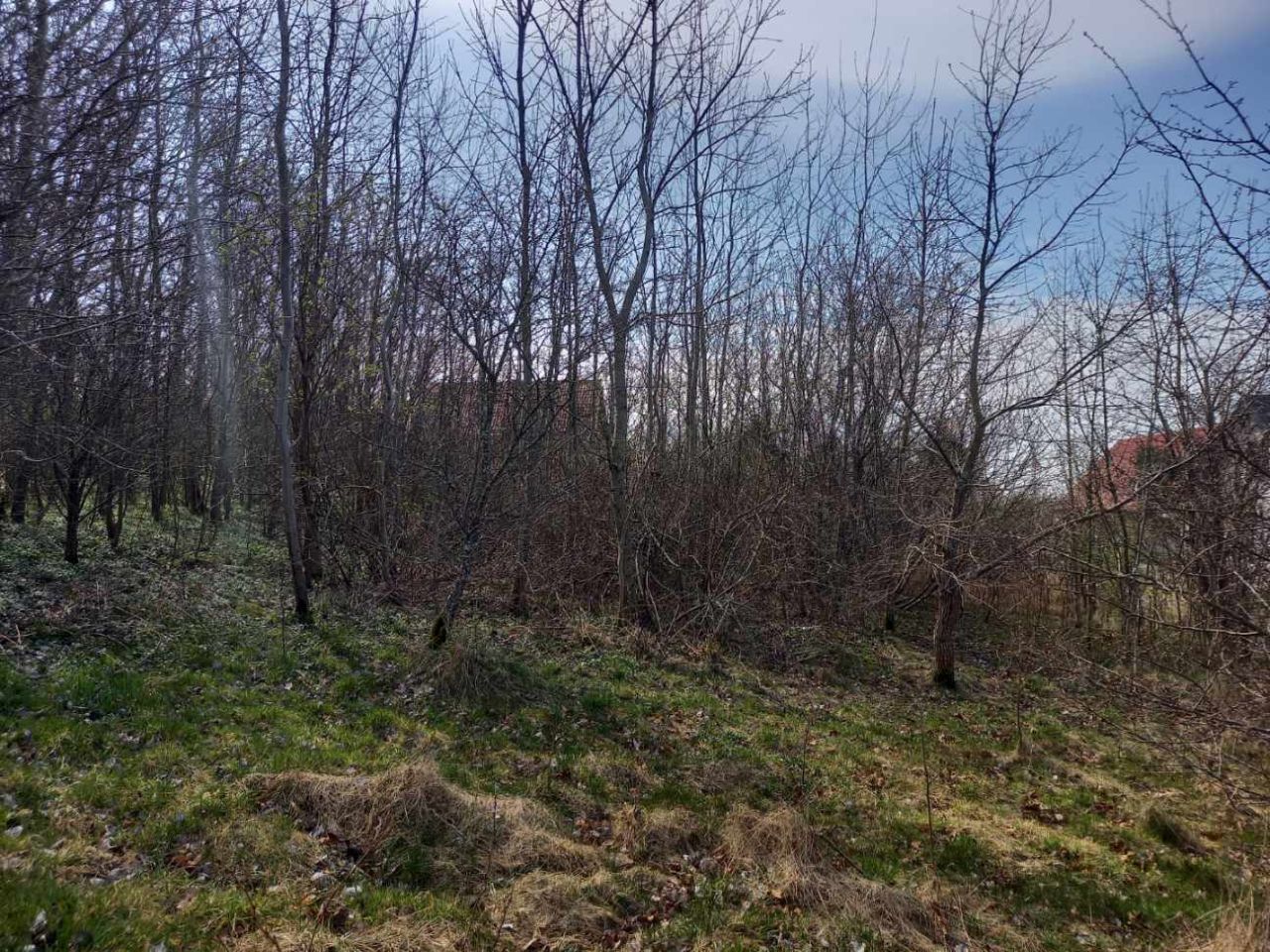 Działka budowlana Rusinowo, ul. Świętego Mikołaja. Zdjęcie 7