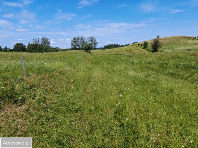 Działka rolna Dąbrówka. Zdjęcie 1