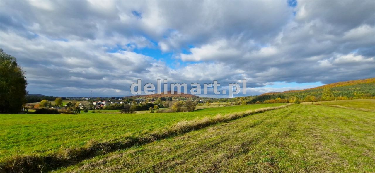 Działka budowlana Srogów Dolny. Zdjęcie 5