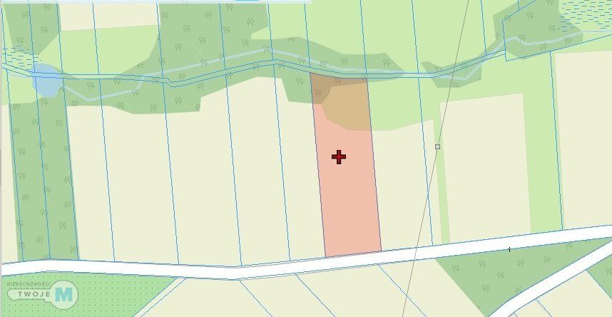 Działka rolna Śladków Duży. Zdjęcie 9