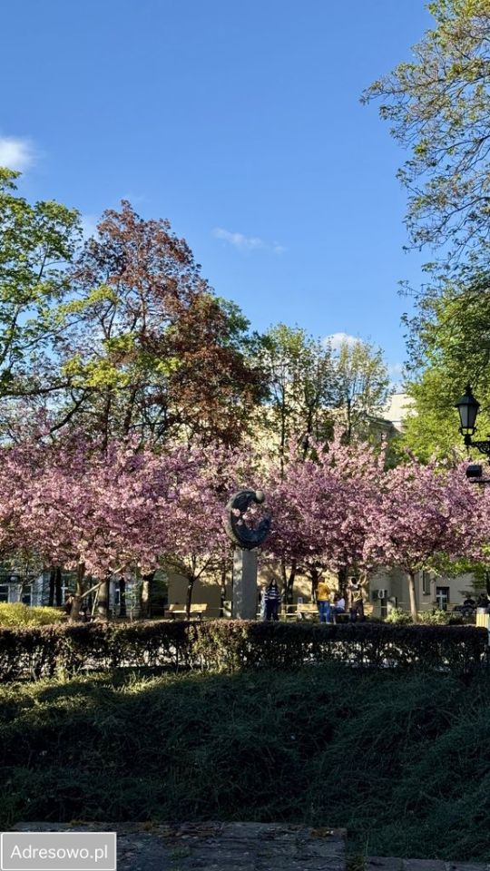 Mieszkanie 2-pokojowe Gliwice Śródmieście, pl. Rzeźniczy. Zdjęcie 11