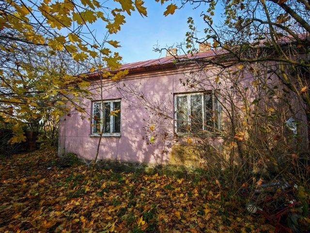 Działka siedliskowa Łęg Probostwo. Zdjęcie 1