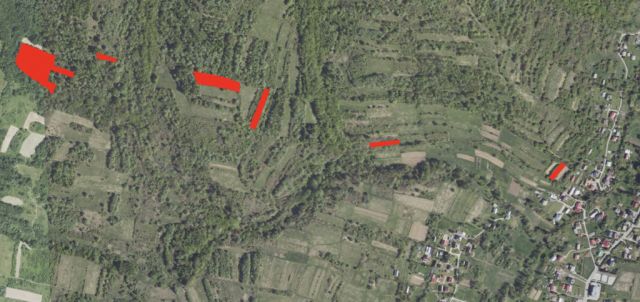 Działka rolna Głojsce. Zdjęcie 2