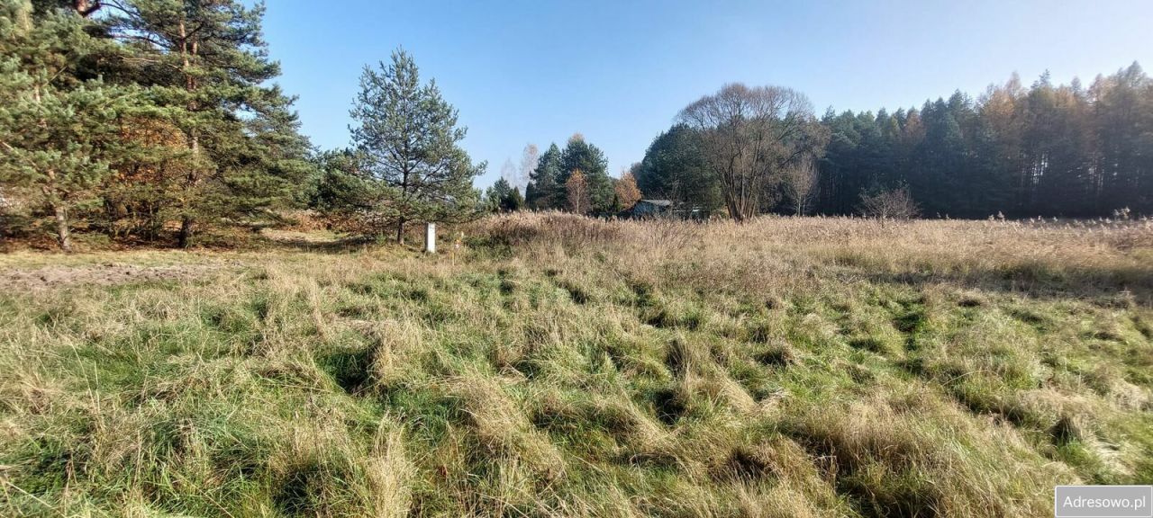 Działka budowlana Woźniki Dyrdy, ul. Leśna. Zdjęcie 4