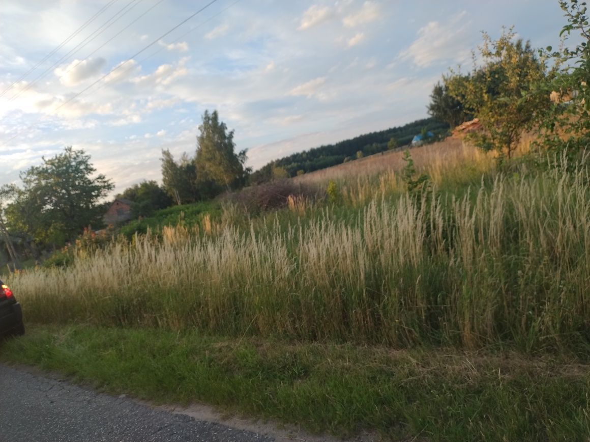 Działka rolno-budowlana Ziębów