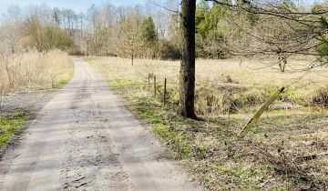 Działka rekreacyjna Edwardów