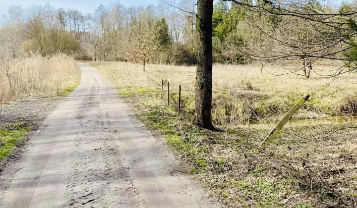 Działka rekreacyjna Edwardów