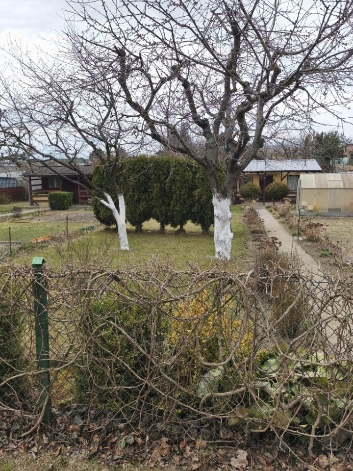 Działka rod Chojnice, ul. Książąt Pomorskich. Zdjęcie 6