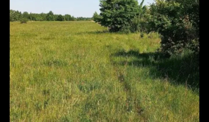 Działka rolno-budowlana Wygoda, Wygoda