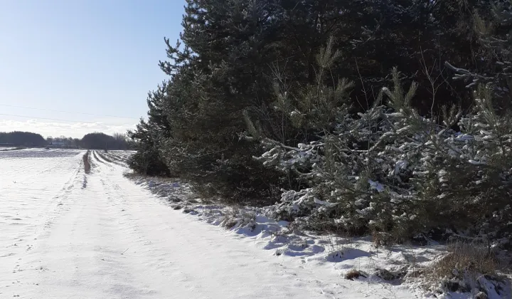 Działka budowlana Seroki-Wieś