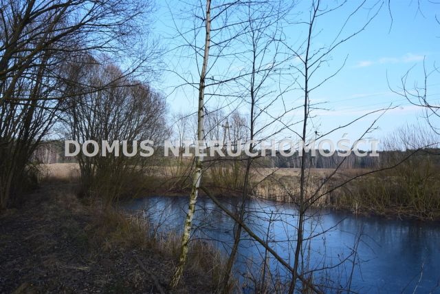 dom wolnostojący, 5 pokoi Mierzno. Zdjęcie 20