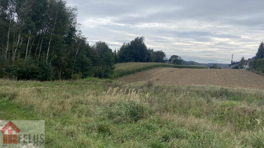 Działka rolna Czułówek. Zdjęcie 3