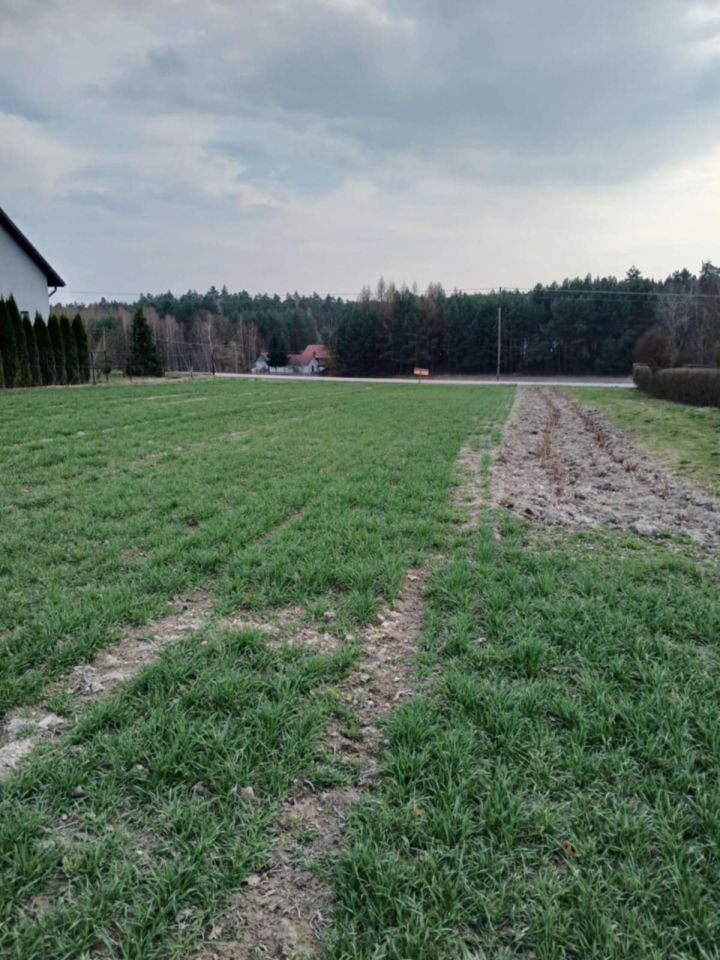 Działka budowlana Jeziernia Zagrządki, ul. Zagrządki. Zdjęcie 4