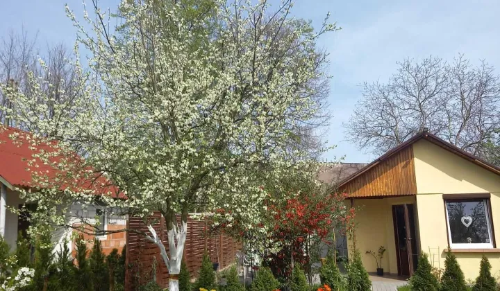 Działka rod Kalisz, ul. Gościnna