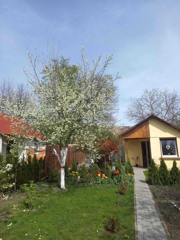 Działka rod Kalisz, ul. Gościnna. Zdjęcie 1