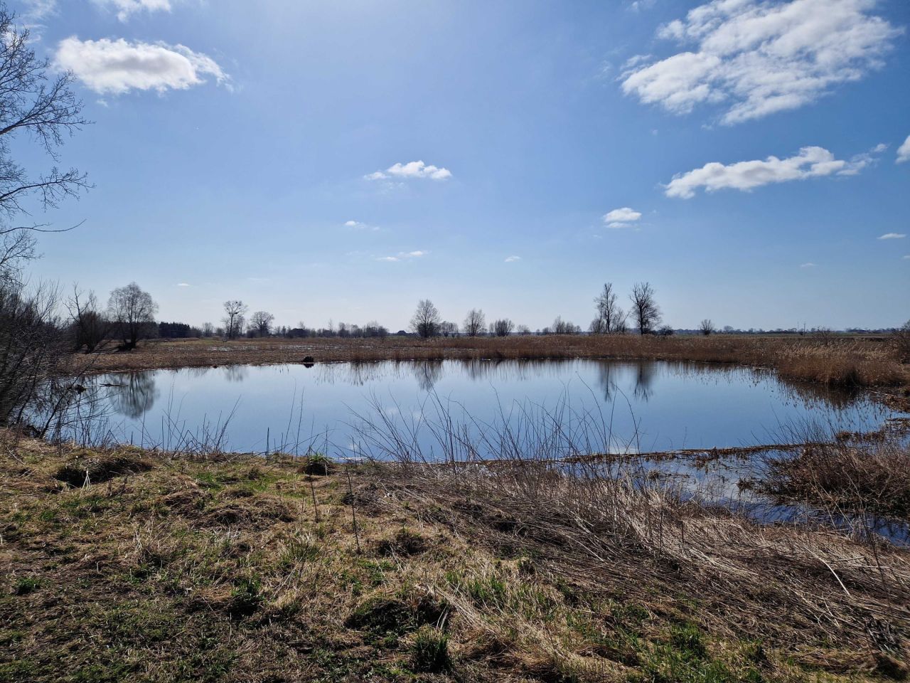 Działka rolno-budowlana Rakowiska. Zdjęcie 5