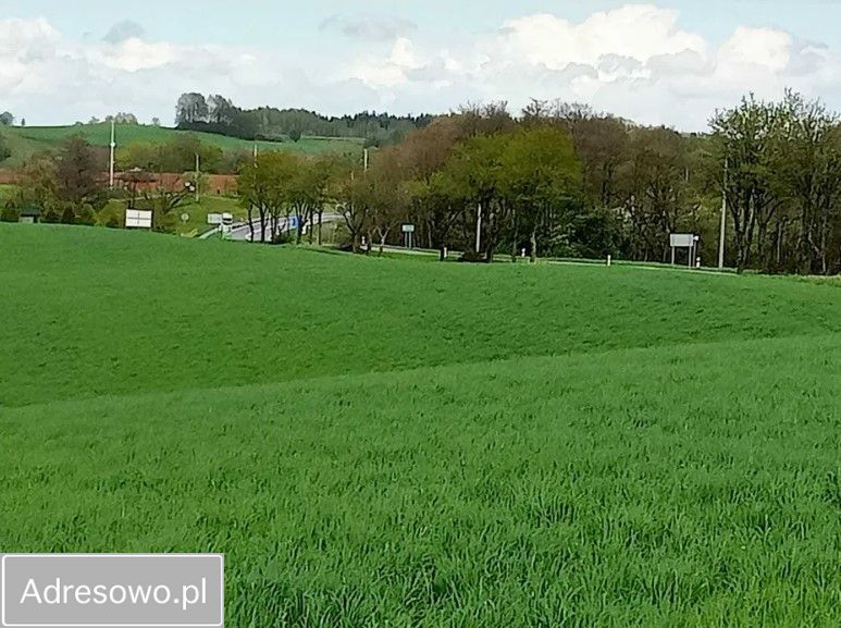 Działka rolno-budowlana Żerdziny. Zdjęcie 7