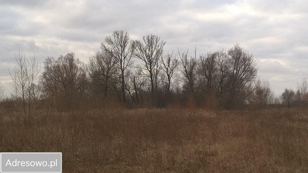 Działka budowlana Kłudno Nowe. Zdjęcie 4