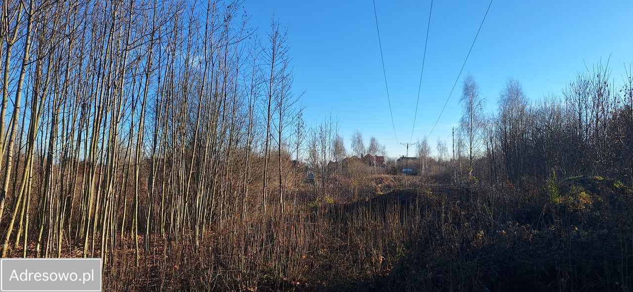 Działka budowlana Żerniki Wrocławskie, ul. Jastrzębia. Zdjęcie 3