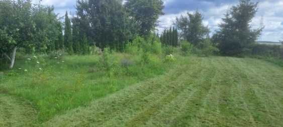 Działka rekreacyjna Mierki. Zdjęcie 1