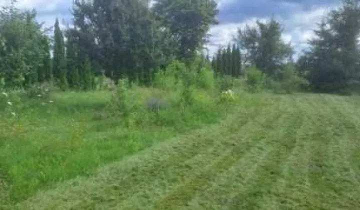 Działka rekreacyjna Mierki