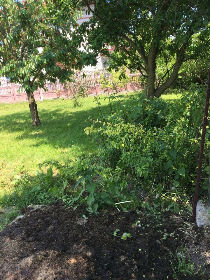 dom wolnostojący Zwoleń. Zdjęcie 6