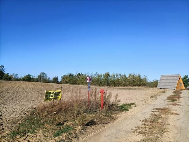 Działka rolno-budowlana Zgniły Głuszynek. Zdjęcie 2