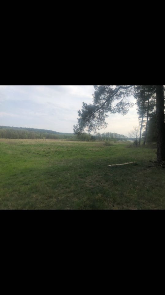 Działka rolna Wieck. Zdjęcie 6