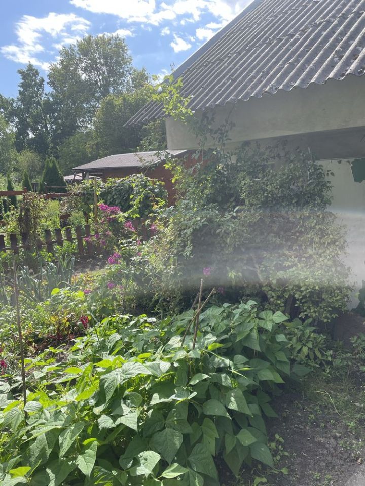 Działka rod Złotów. Zdjęcie 3