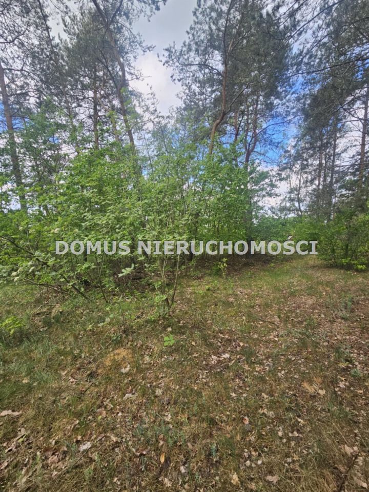 Działka budowlana Brzeziny. Zdjęcie 5