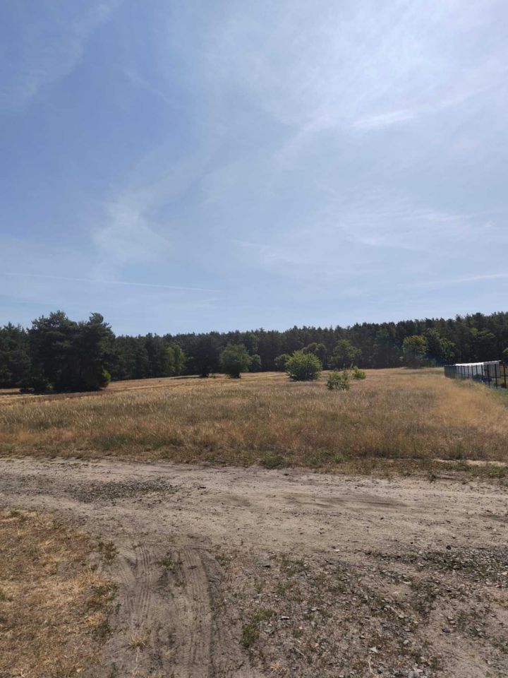 Działka budowlana Stany. Zdjęcie 3