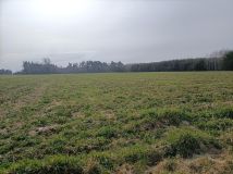 Działka rolna Wierzbica-Kolonia, Ługi. Zdjęcie 2