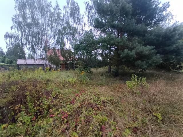 Działka rolno-budowlana Michałów-Reginów. Zdjęcie 1