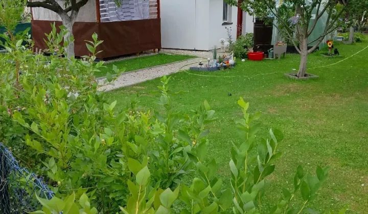 Działka rod Tychy Żwaków