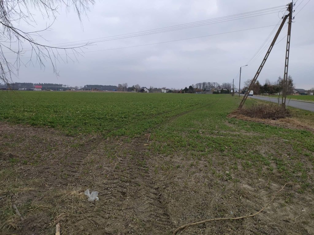 Działka rolna Dębówka