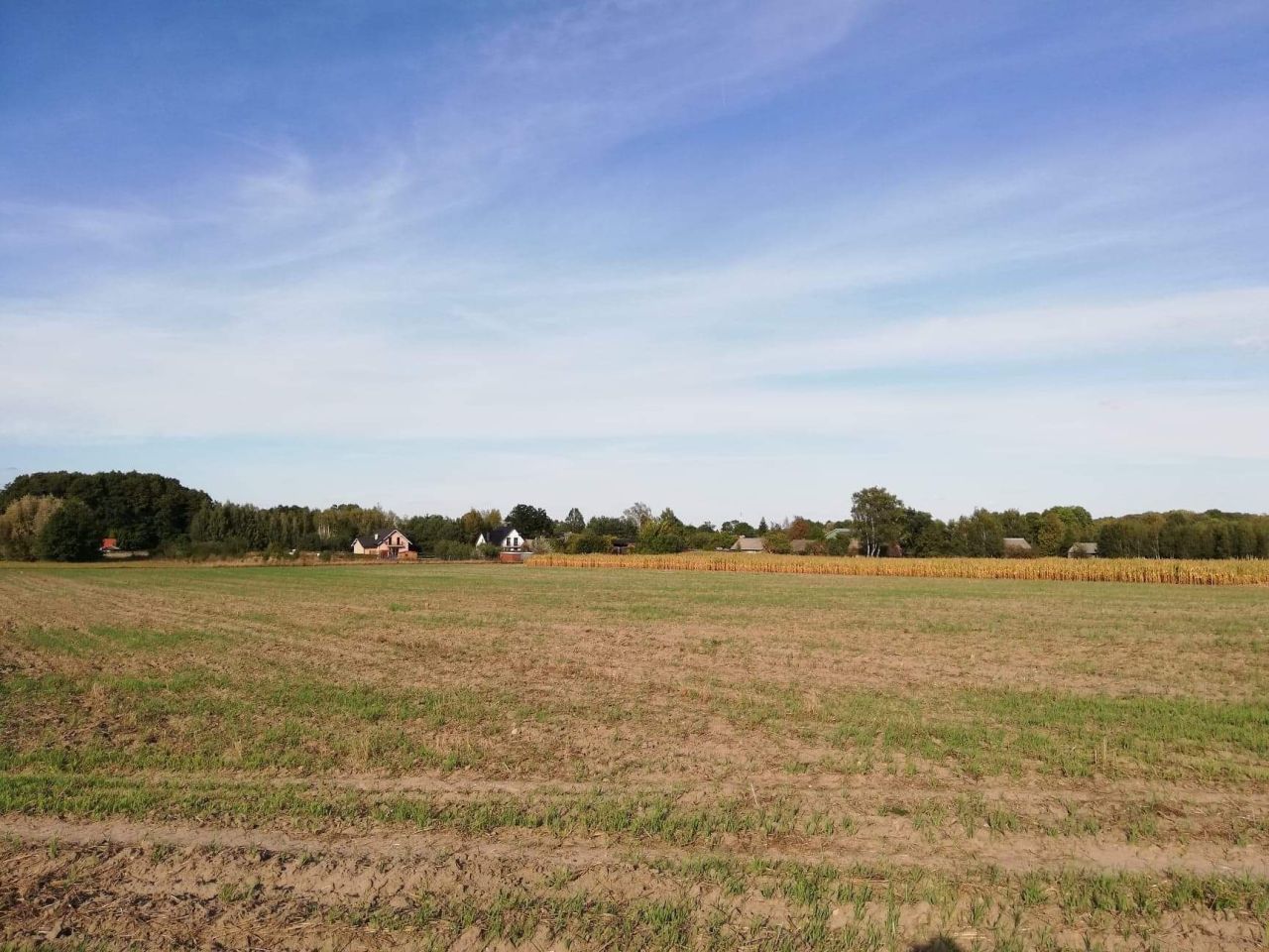 Działka inwestycyjna Karsznice Wieś, ul. Cegielniana. Zdjęcie 9