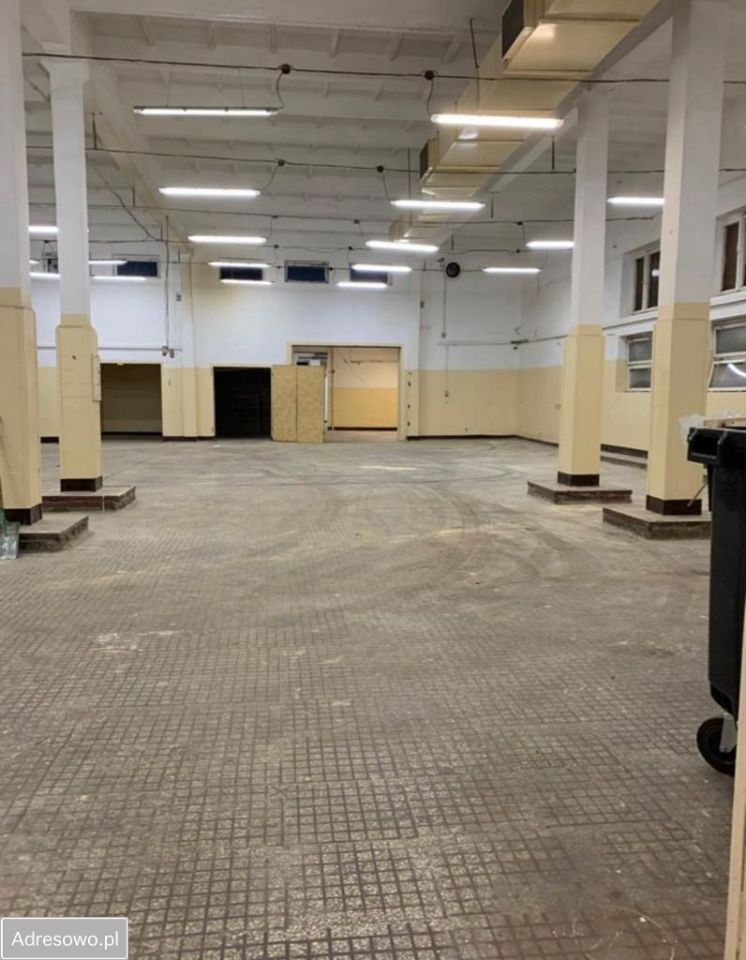Hala/magazyn Świecie. Zdjęcie 7