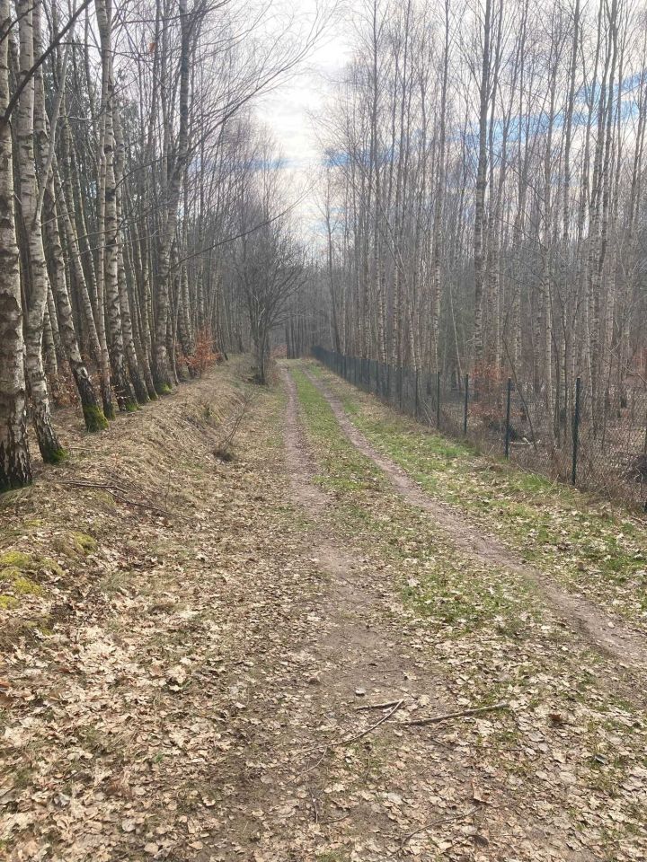 Działka siedliskowa Chrztowo. Zdjęcie 7