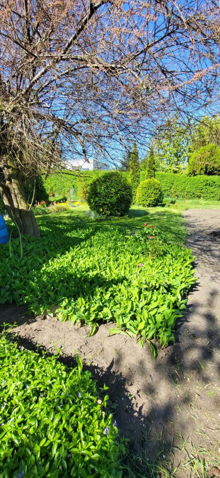 Działka rod Nowe Skalmierzyce, ul. Polna