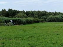 Działka rolna Bruskowo Wielkie