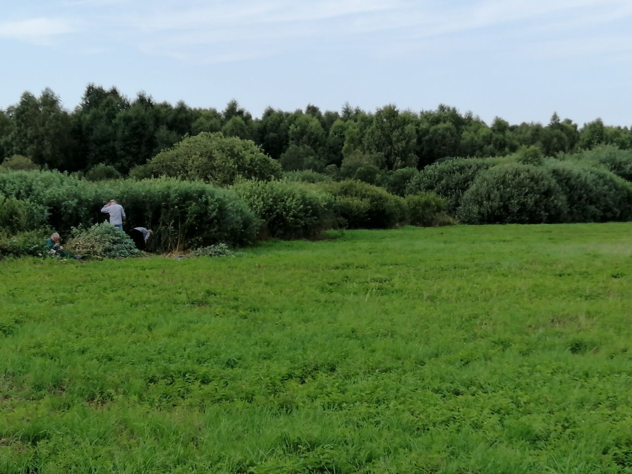 Działka rolna Bruskowo Wielkie