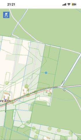 Działka siedliskowa Grabowy Las. Zdjęcie 1